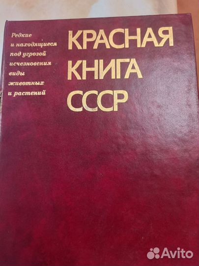 Старинные книги