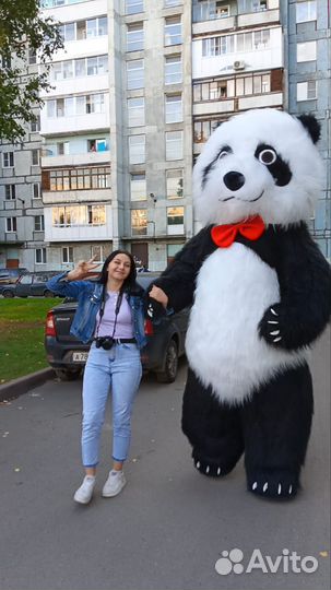 Экспресс поздравление