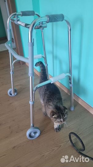 Ходунки для инвалидов на колесах