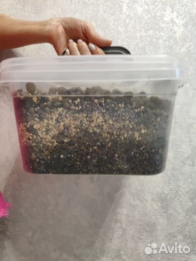 Почва для суккулентов