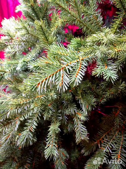 Ель искусственная 240см литая премиум