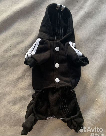 Костюм для собаки