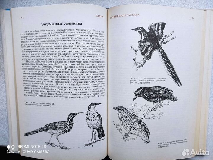 Альбомы о странах