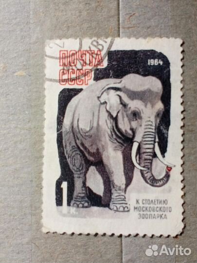 Марки СССР 1964 год. 100 лет зоопарку