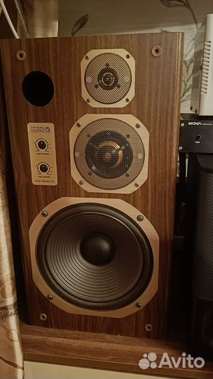 Акустика Coral dx5