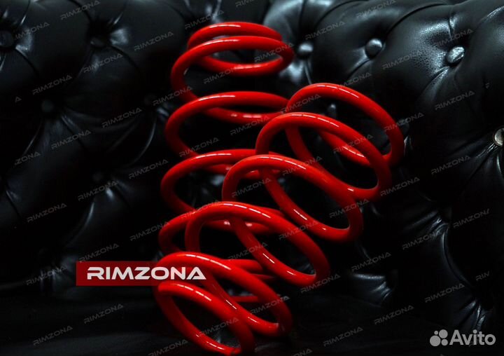 Пружины с занижением -30 на Rio 3