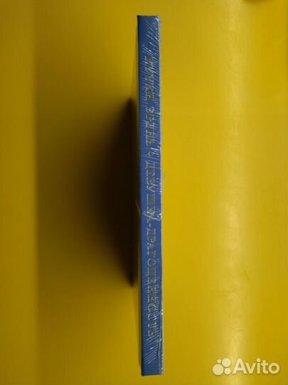 Девушка драгоценность. Калмыкия. Элиста