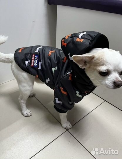 Куртка для собак мелких пород