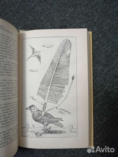 Станислав Старикович Самые обычные животные