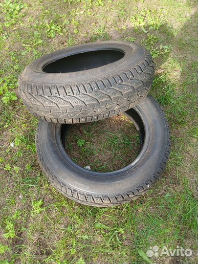 Tigar Winter 205/65 R15 92