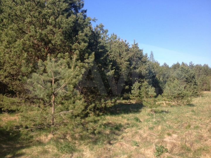 Участок 75 сот. (ИЖС)