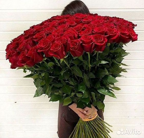 101 роза цветы букеты доставка 25 51 101 роза