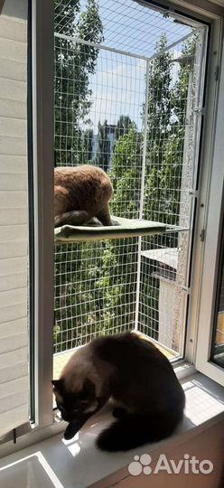 Балкон для кошек