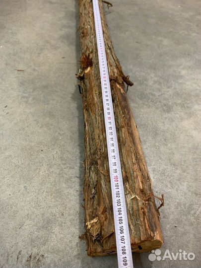 Стволы можжевельника