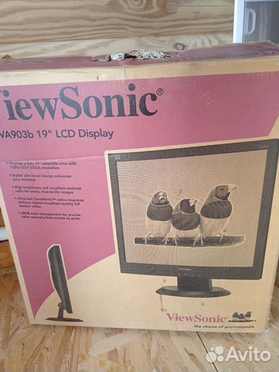 Монитор Viewsonic