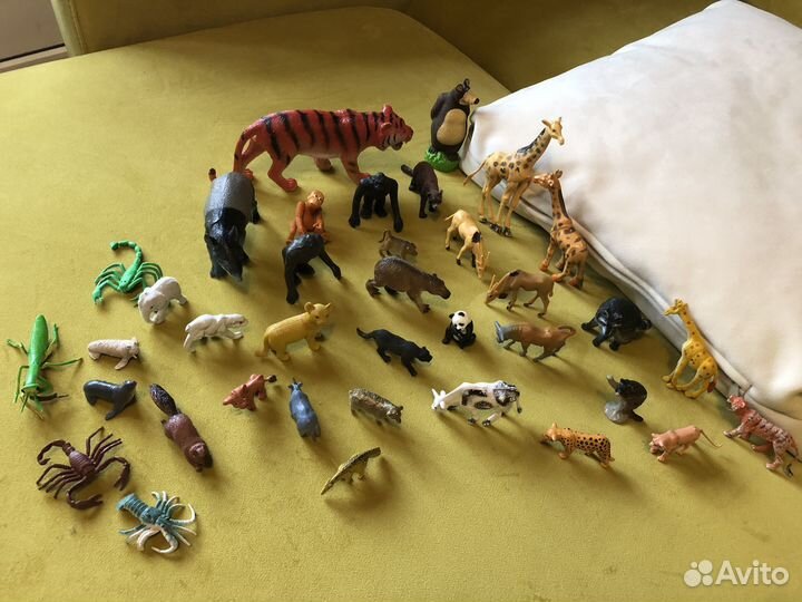 Коллекции: лошади, домашние, саванна, породы собак