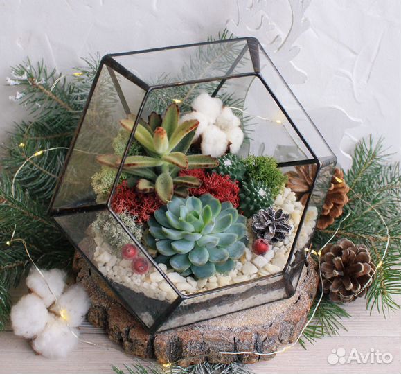 Флорариумы Magic Garden