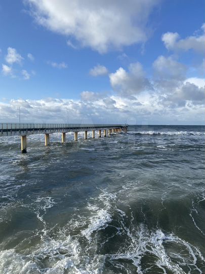 Участок 4,5 сот. (СНТ, ДНП)