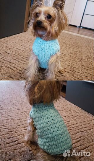 Свитер для собак