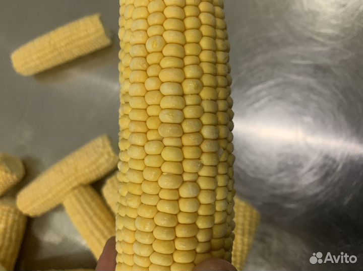 Замороженная кукуруза