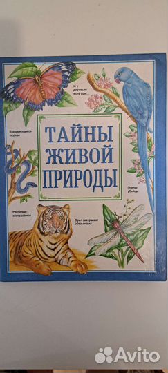 Познавательные книги для детей