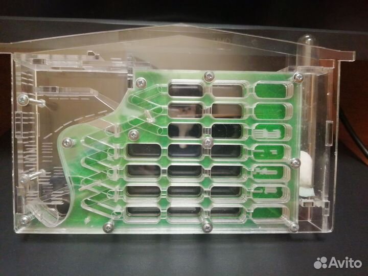 Муравьиная ферма вертикальная б/у/формикарий