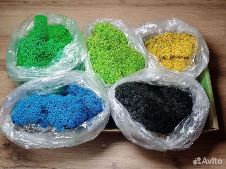 Стабилизированный мох