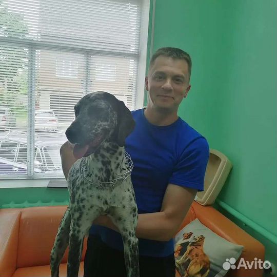 Ветеринарный врач