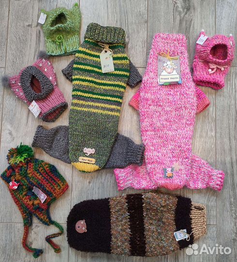 Одежда для животных