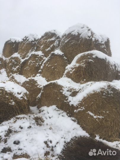 Продам солому