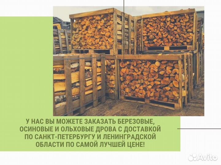 Дрова березовые от производителя