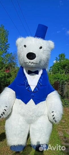 Белый медведь Тоша Калязин,Кашин и другие