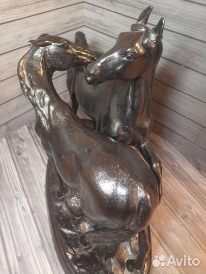 Кони на воле