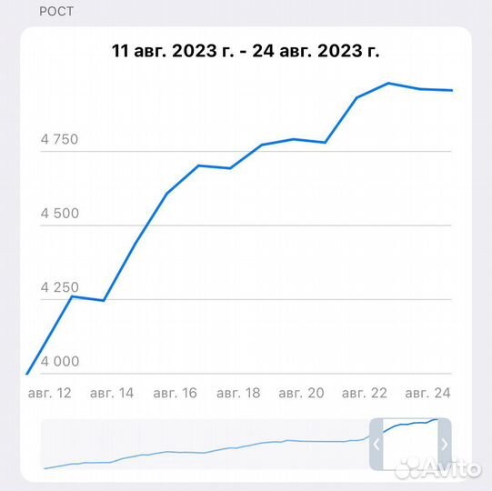 Продвижение в телеграм