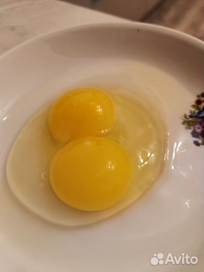 Домашние куриные яйца оптом