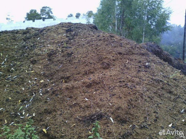 Конский навоз бесплатно