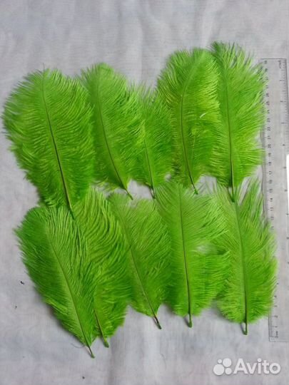 Перья страуса для творчества 14-18см, 29-55см