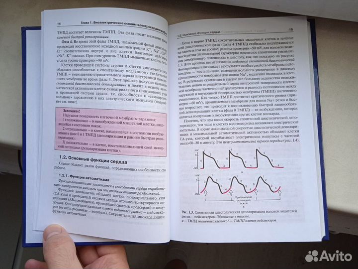Электрокардиография (Мурашко, Струтынский)