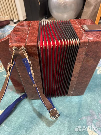 Баян этюд,тула 202