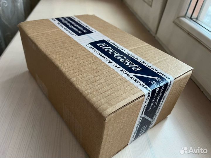 Тифлофлешплеер ElecGeste dtbp-301