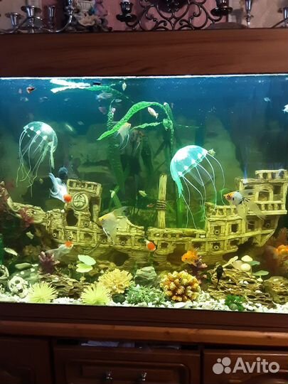 Украшение для аквариума