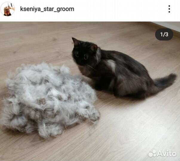 Груминг Стрижка кошек и собак Грумер