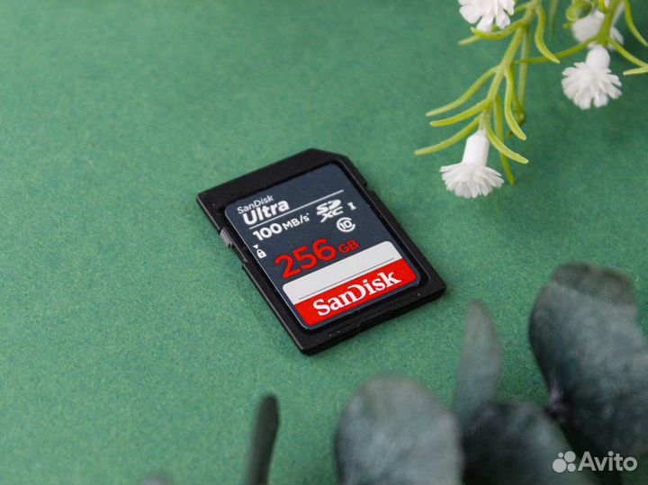 Карта памяти sdxc SanDisk Ultra 256Gb