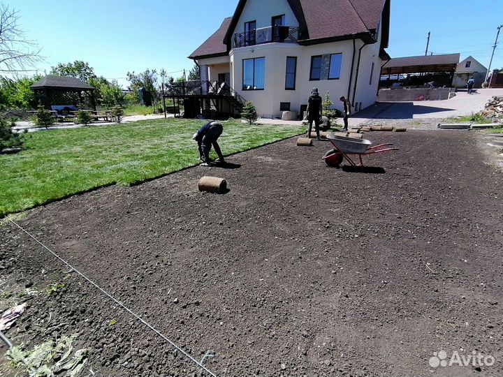 Ландшафтный дизайн, Озеленение, Рулонный газон