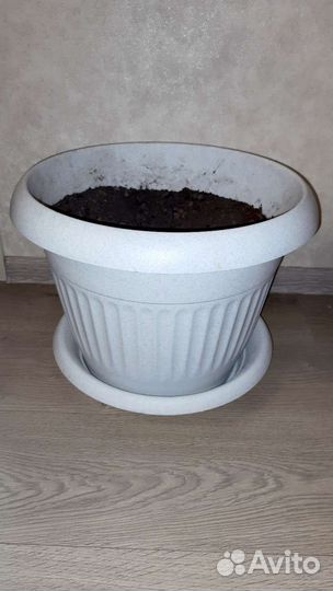 Кашпо горшок для цветы