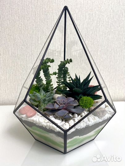 Флорариум Капля S с суккулентами