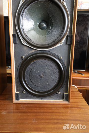 Celestion Ditton 25 1970
