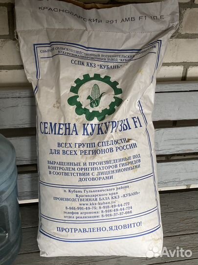 Семена кукурузы