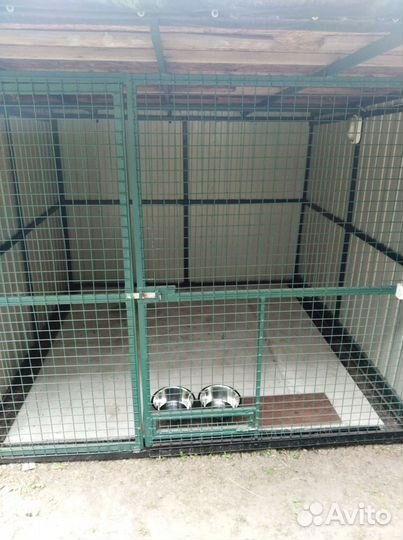 Передержка. Зоогостиница для собак