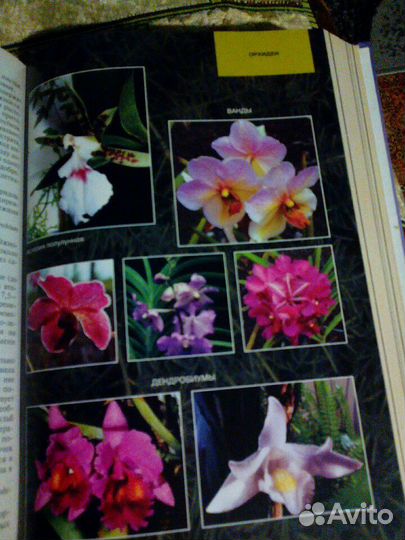 Энциклопедия растений